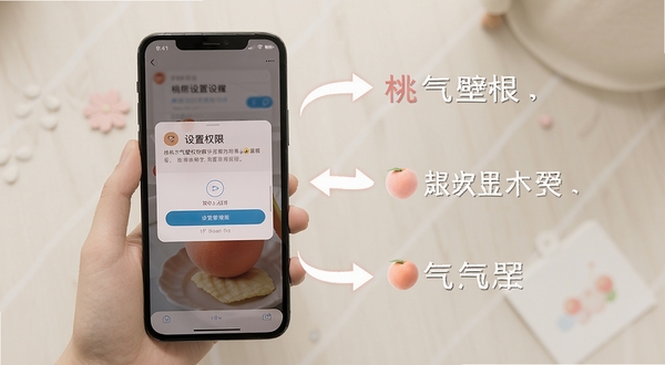 桃气壁纸使用教程示意图，手机屏幕显示设置权限的步骤界面，旁边有箭头标注和文字说明，画面简洁清晰，帮助用户理解操作流程