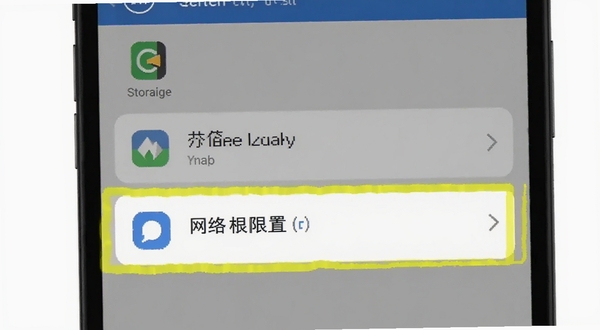 风智子安装权限设置步骤示意图,手机屏幕显示权限管理界面,存储和网络权限被高亮标注,背景为简洁白色,图标清晰