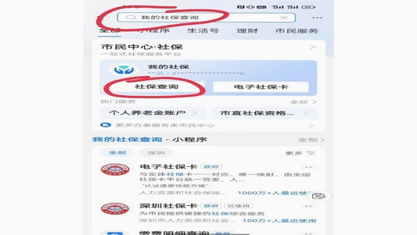 邵武在线 社保查询 组件