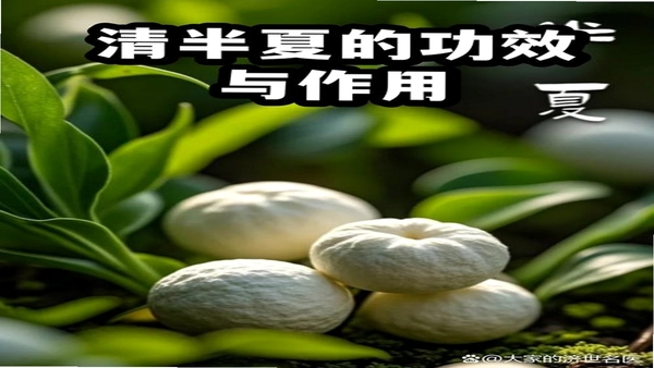 清夏健康 用户评价