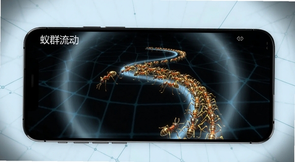 蚁群流动免费版主界面全景展示，画面中央为发光蚁群沿曲线路径流动的动态模拟场景，背景为深色科技感网格与淡蓝色光晕，左上角悬浮软件名称蚁群流动字样，整体风格简洁现代，适配手机屏幕比例