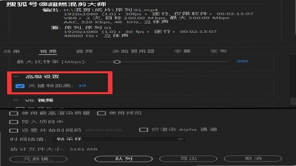 蒜来蒜去加工版 导出设置界面