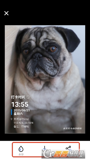 真实打卡水印相机app最新版下载 真实打卡水印相机app最新版下载
