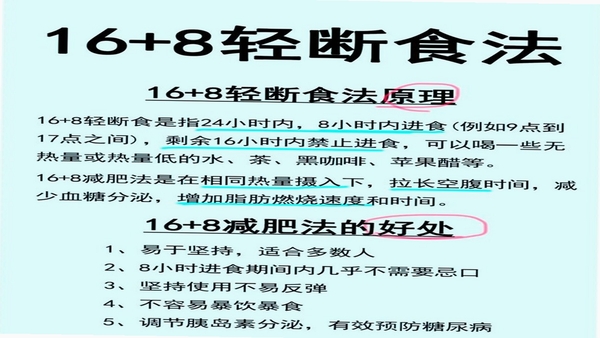 轻断食饮食记录用户问答与安全说明