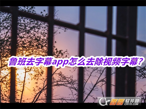 鲁班去字幕APP最新版免费版