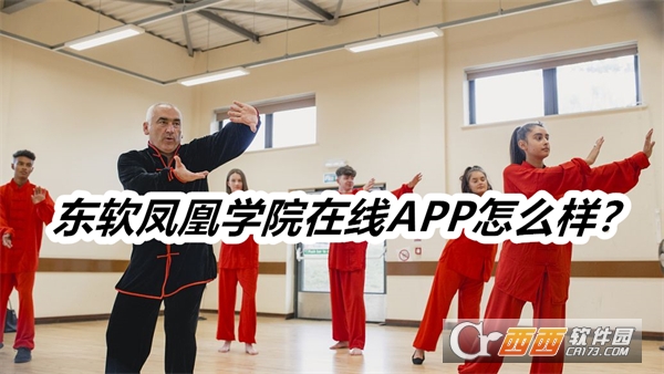 东软凤凰学院在线APP安卓正式版 东软凤凰学院在线APP安卓正式版