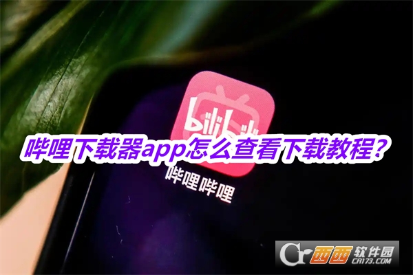 哔哩下载器(Bili Saver)最新版免费版2025 哔哩下载器(Bili Saver)最新版免费版2025