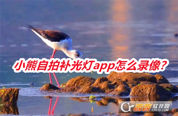 小熊自拍补光灯APP官方正式版 小熊自拍补光灯APP官方正式版