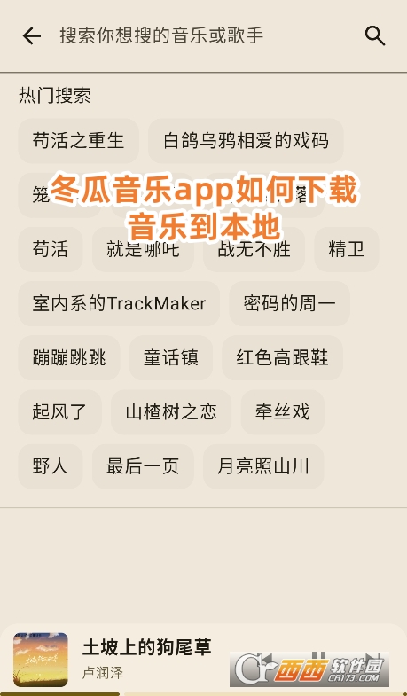 冬瓜音乐电视版官方下载免费版 冬瓜音乐电视版官方下载免费版