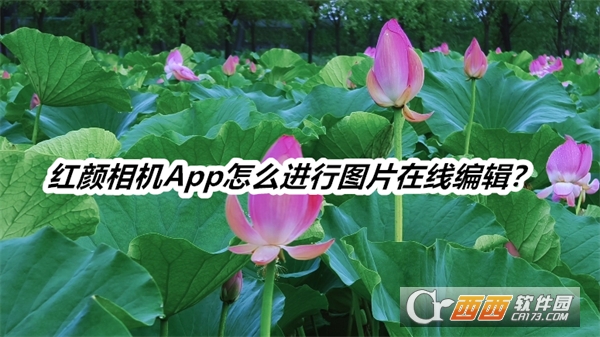 红颜相机软件2025手机版最新版 红颜相机软件2025手机版最新版