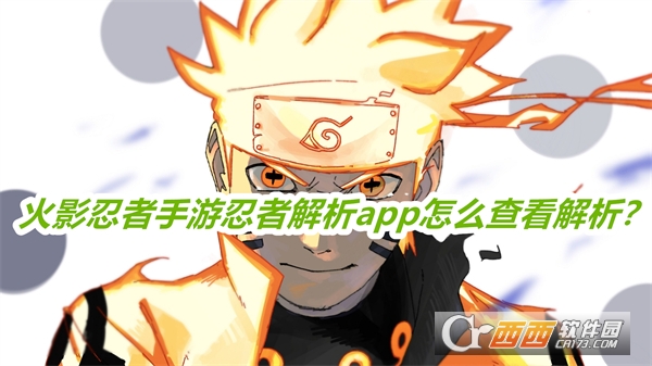 火影忍者手游忍者解析软件2025最新版本