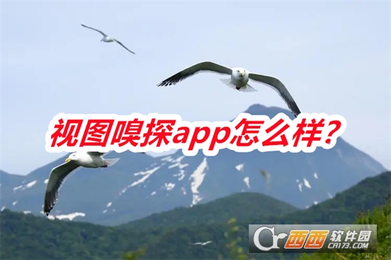 视图嗅探软件2024最新版本免费版