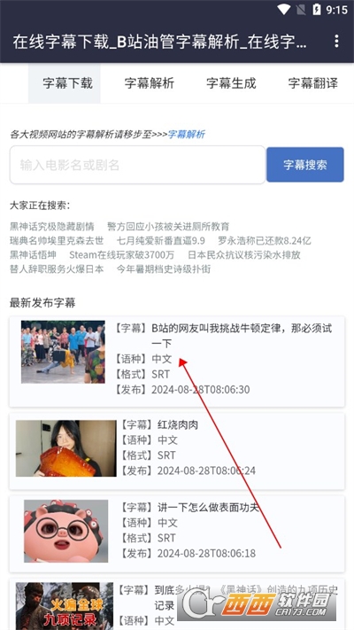 熊猫字幕软件2024最新版本手机版 熊猫字幕软件2024最新版本手机版