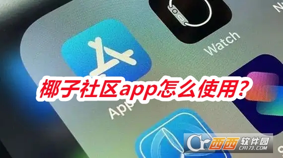椰子社区软件2025最新版本免费版 椰子社区软件2025最新版本免费版