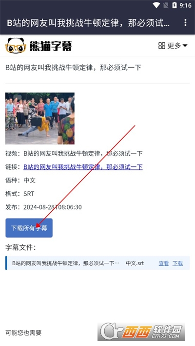 熊猫字幕软件2024最新版本手机版 熊猫字幕软件2024最新版本手机版