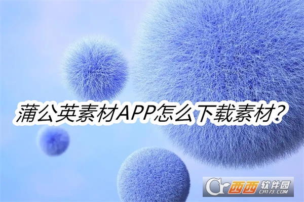 蒲公英素材APP安卓最新版本 蒲公英素材APP安卓最新版本