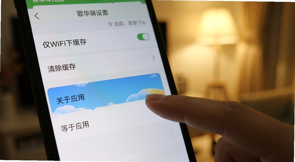 歌华有线移动端操作界面截图风格，画面展示手机屏幕上应用设置页面，有清晰的选项列表如“仅WiFi下缓存”“清除缓存”“关于应用”等，手指正在点击其中一个选项，背景是柔和的室内光线，整体风格简洁实用，突出操作引导和功能设置，适合作为使用教程配图