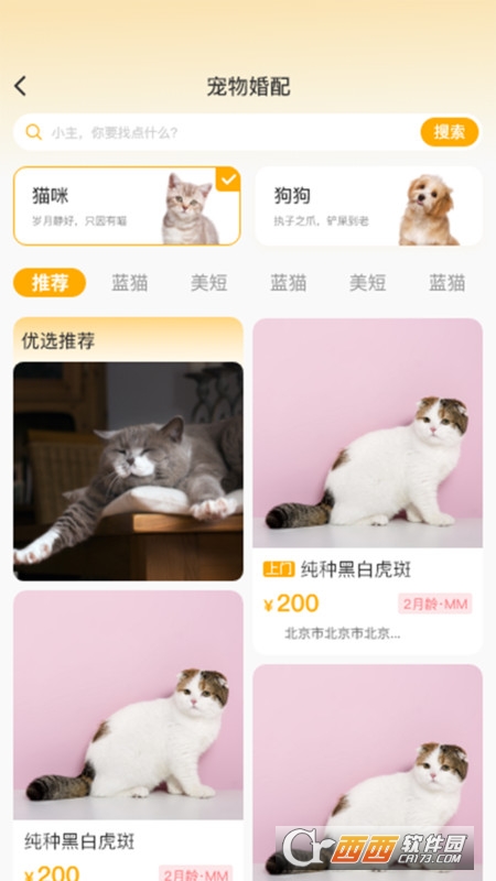 喵鑫球宠物平台