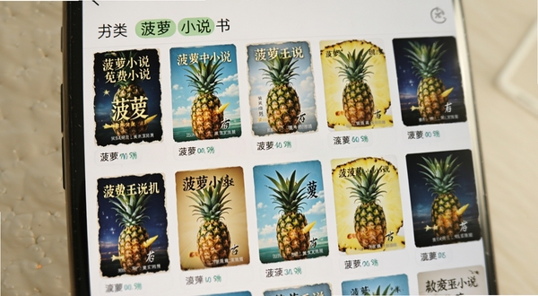 菠萝免费小说 书架管理界面 多本小说封面整齐排列 分类标签清晰 手机屏幕展示 柔和光线 高清预览图