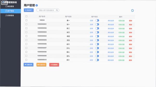 软件权限管理界面
