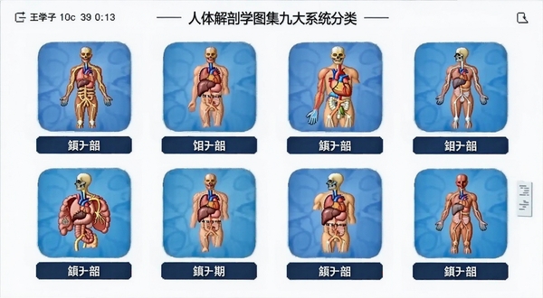 人体解剖学图集九大系统分类界面截图风格,画面主体为排列整齐的九个人体系统图标,坐标位于画面中心区域,背景区域为白色简约医学风格,每个图标下方标注中文系统名称,整体体现人体解剖学图集的功能分类逻辑