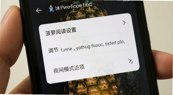 菠萝免费小说 阅读设置面板 字体调节与夜间模式选项 手机界面特写 简洁排版 高清预览图
