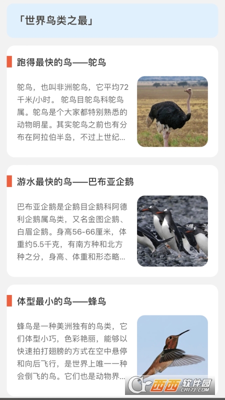 青鸟看看鸟类科普平台 青鸟看看鸟类科普平台