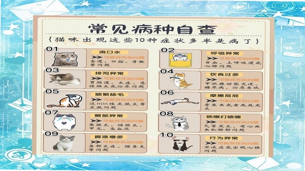 宠舍管家 猫咪健康记录界面