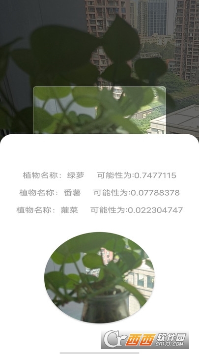 拍照识别植物弛意版app官方版 拍照识别植物弛意版app官方版