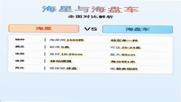 海星拍车 车辆信息录入界面