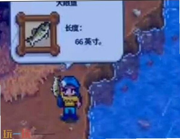 大眼鱼 无法启动 报错解决