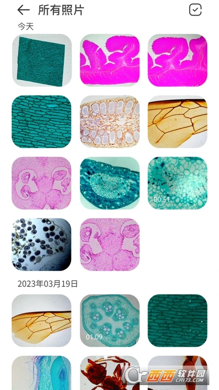 阿蛋科学探索 阿蛋科学探索