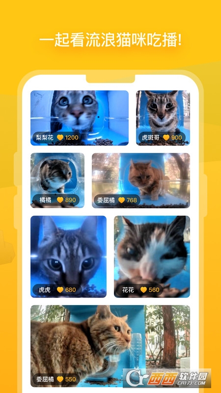 街猫app官方版