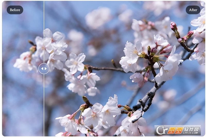 SuperImage(AI图像放大) SuperImage(AI图像放大)