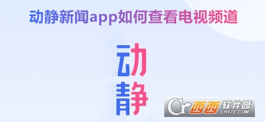 动静新闻app官方最新版下载 动静新闻app官方最新版下载