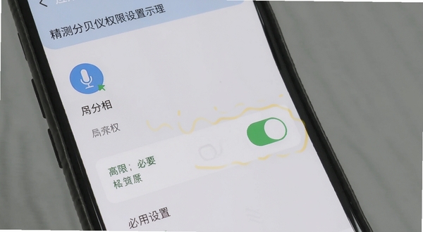 精测分贝仪权限设置示意图，手机屏幕显示应用权限管理页面，高亮麦克风权限开关，背景为浅灰色，图标简洁，突出安装后必要设置步骤