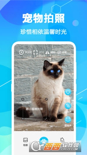 猫语翻译pet