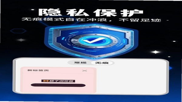 ContinueBrowser 无痕浏览模式 隐私保护界面