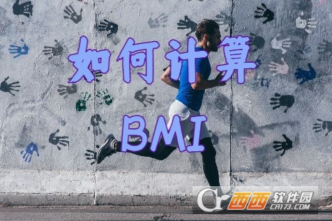 BMI计算记录(BMI计算器) BMI计算记录(BMI计算器)