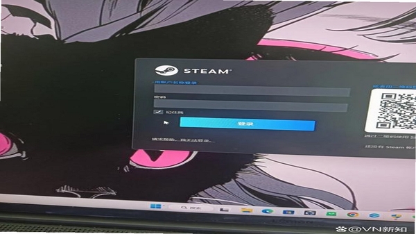 Monica Steam 安装界面